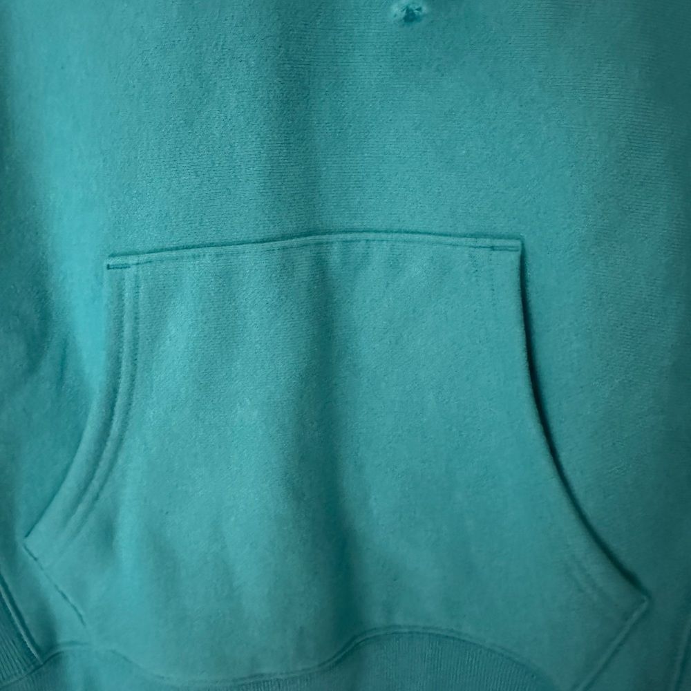 Champion heavyweight Hoodie Logo on front NWT - Picture 5 of 9